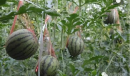 五一吃瓜爆料今日吃瓜热门事件,盘点今日热门爆料事件