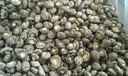 国产精品暗暗干,探索中国暗黑风格影视的崛起之路